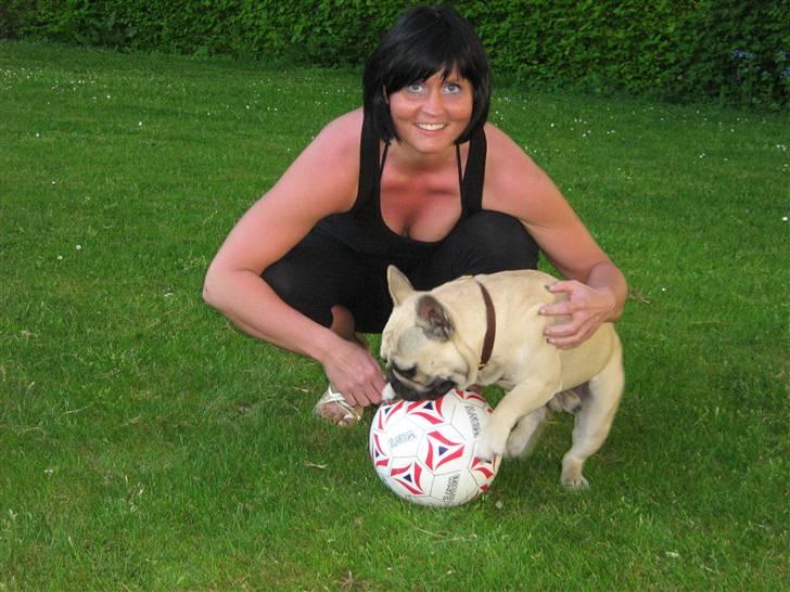 Fransk bulldog Bubbi . ( Før Lordo ) - Mor .. jeg har ikke tid til billeder nu. Jeg spiller bold billede 6