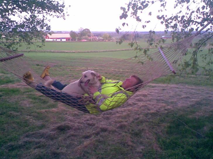 Blanding af racer MY billede 17