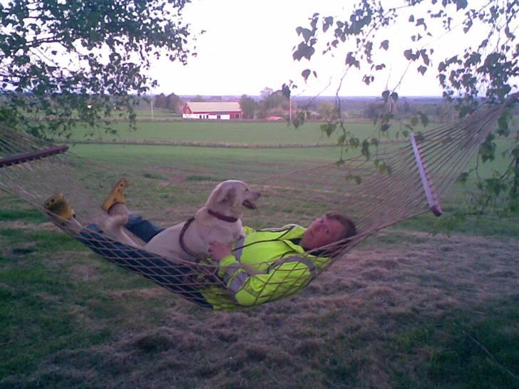 Blanding af racer MY billede 18