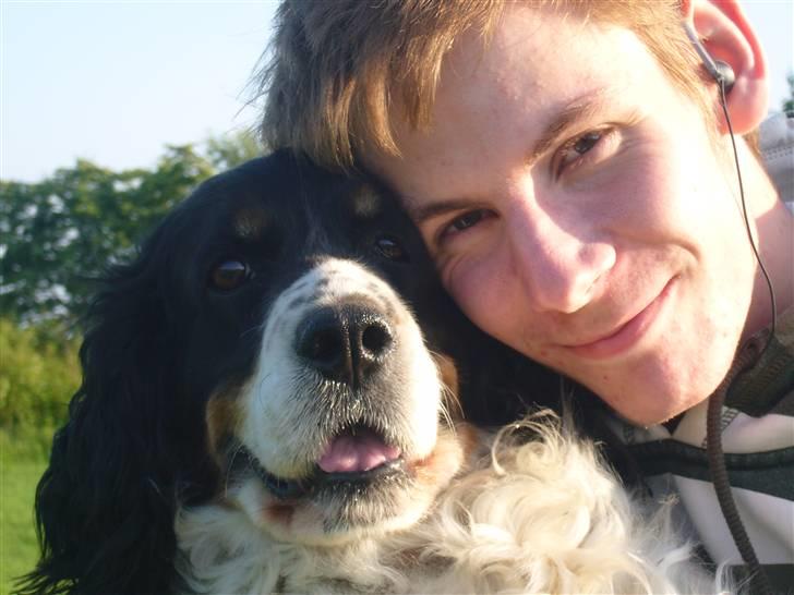 Engelsk springer spaniel Diana. <3 **Død* :'( - Diana bliver kramet af nikolaj.. <3 billede 16