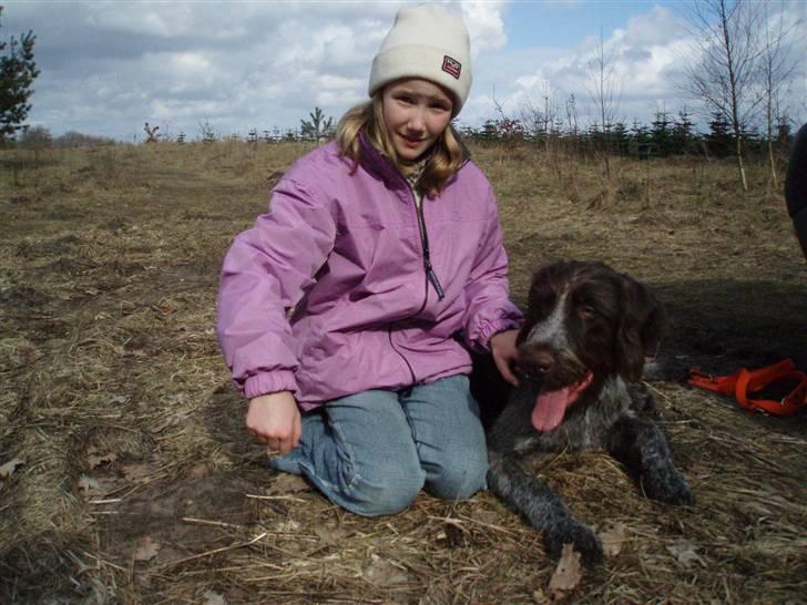 Ruhåret hønsehund Paw billede 11