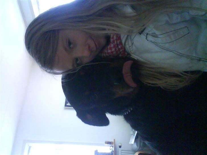 Rottweiler Ratata - er vi ikk søde? billede 3