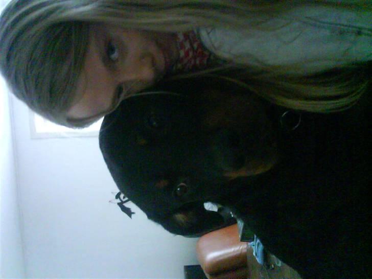 Rottweiler Ratata billede 4