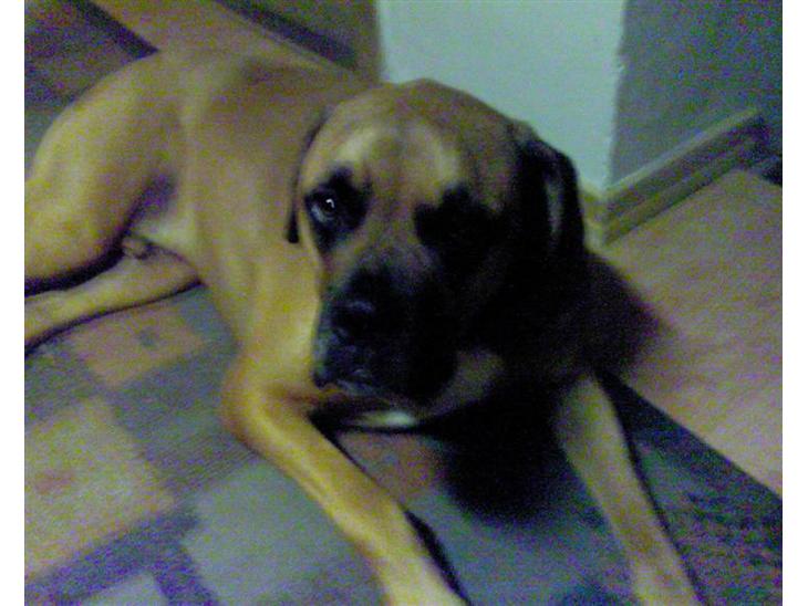 {{currentPhoto.altText}} billede {{currentPhoto.number}}