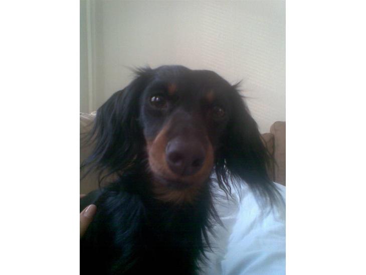 {{currentPhoto.altText}} billede {{currentPhoto.number}}