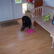 Blanding af racer bella<3