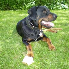 Blanding af racer Max