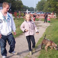 Amerikansk staffordshire terrier angel <3 