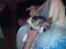Yorkshire terrier ballou<33 - mijne hunde slapper af