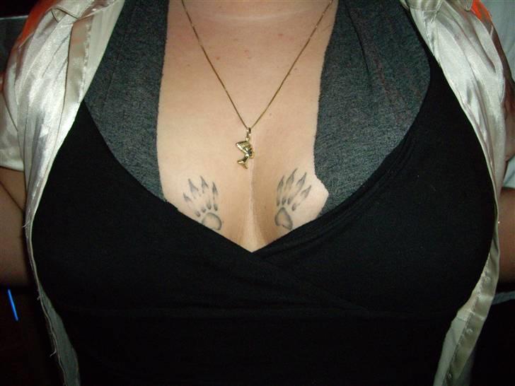 Blanding af racer pablo billede 11