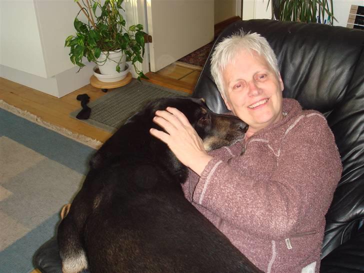 Blanding af racer Baloo billede 14