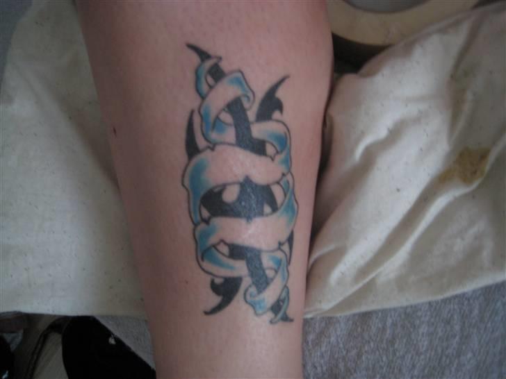 Blanding af racer pablo billede 12