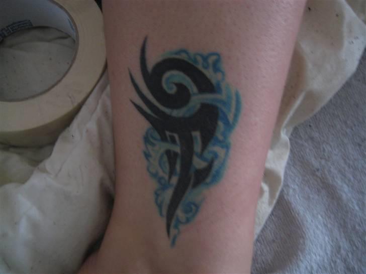 Blanding af racer pablo billede 14