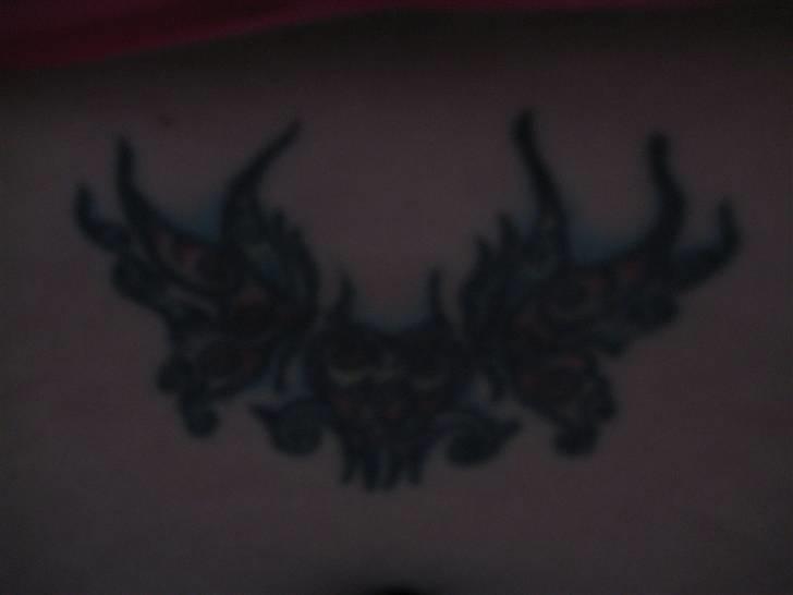 Blanding af racer pablo billede 17