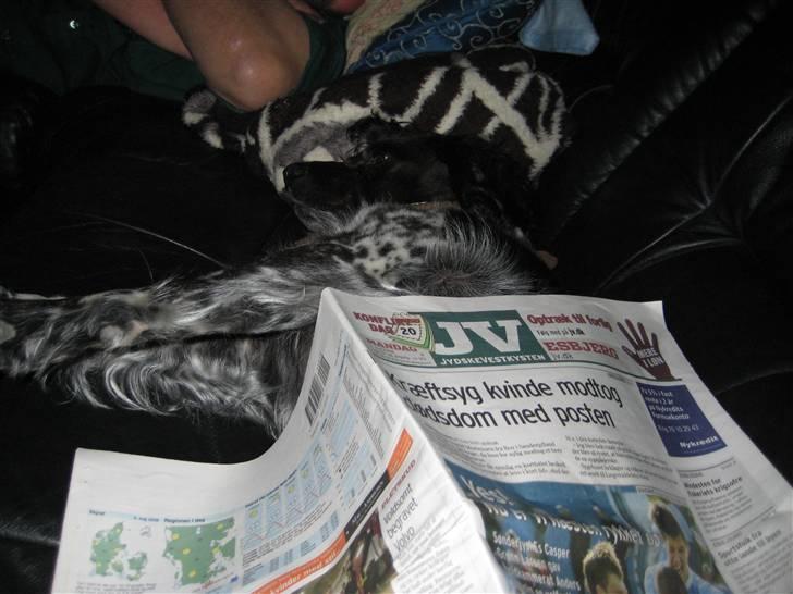 Breton Nana.. billede 10