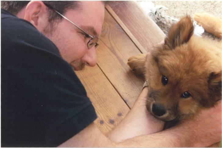 Eurasier Aladdin - Det er dejligt med en slapper i terassedøren.. billede 4