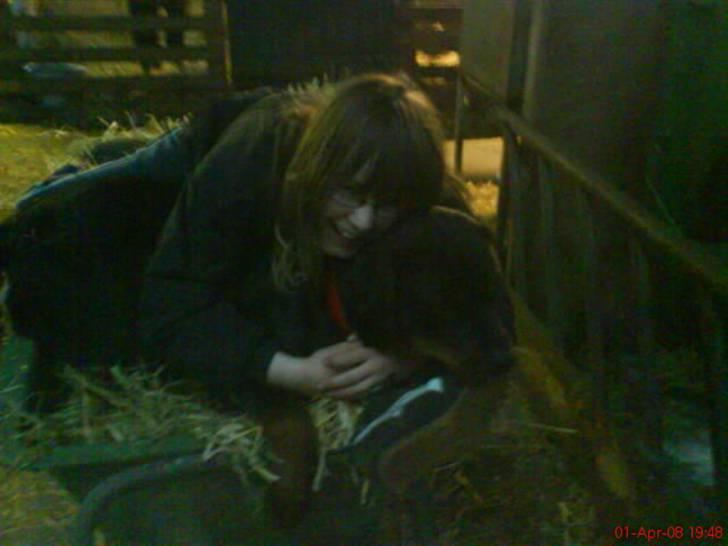 Rottweiler Binee - binee og sarah<´33 billede 8