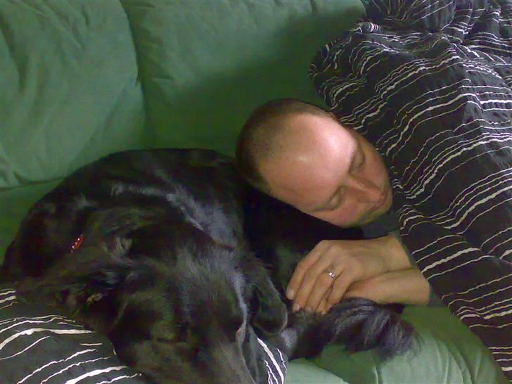 Blanding af racer Tilde - Jeg elsker at putte sammen med far..... billede 13