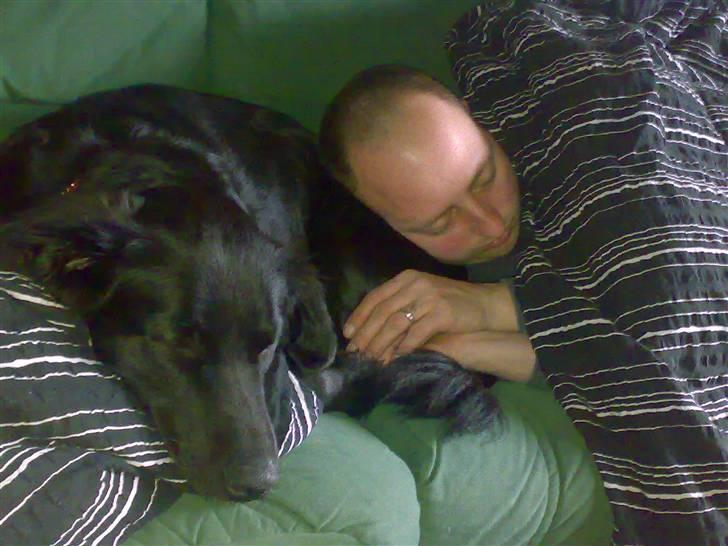 Blanding af racer Tilde - det er bare så hyggeligt det her..... billede 14