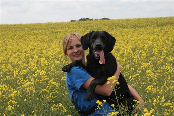 Blanding af racer Zigi (død 11/5-16) - Maj 2008 billede 16