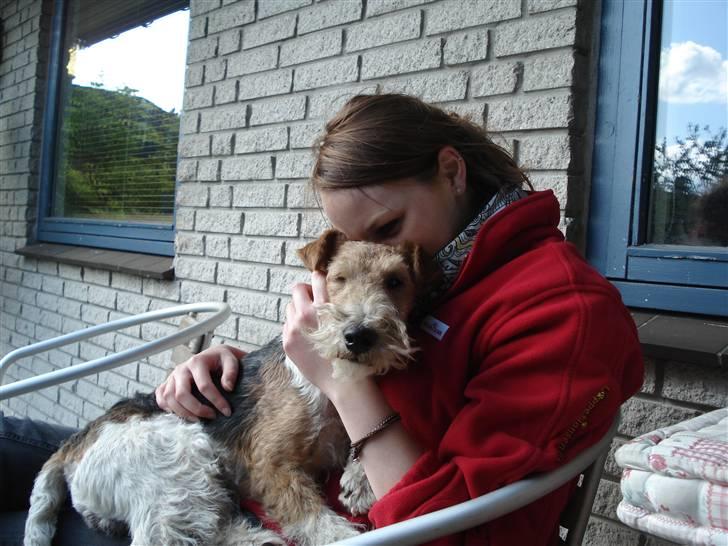 Ruhåret foxterrier UFFE - Mig og min lille Prins billede 1