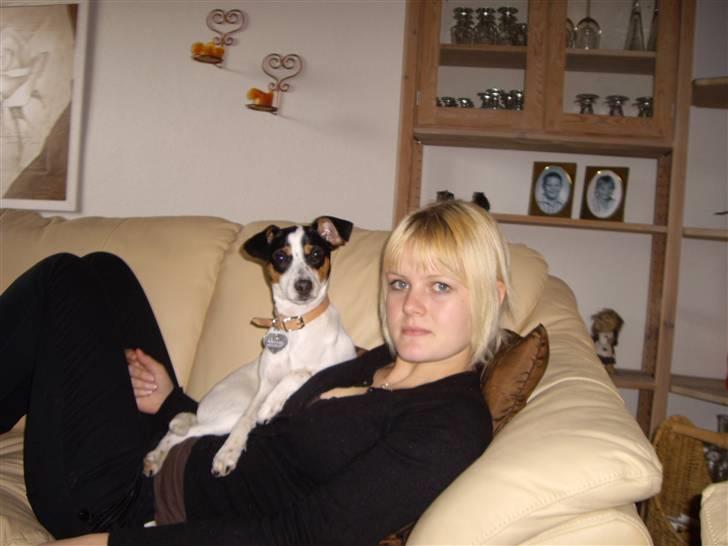 Dansk svensk gaardhund Vaks - Hvad, mor ? Vi hygger .. billede 6