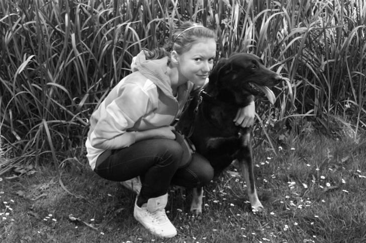 Blanding af racer Bella  billede 6