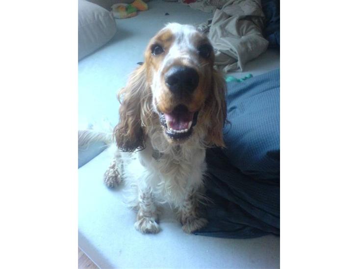 {{currentPhoto.altText}} billede {{currentPhoto.number}}