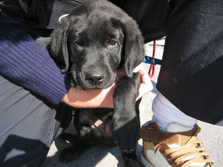 {{currentPhoto.altText}} billede {{currentPhoto.number}}