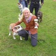 Olde english bulldogge Jolie