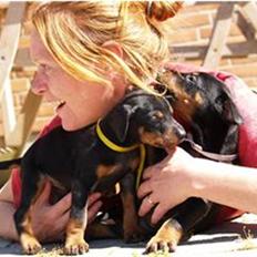 Dobermann *Charming Chick*