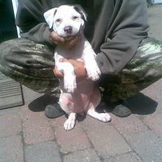 Blanding af racer Emma