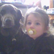 Blanding af racer Balou R.I.P.