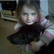 Blanding af racer Balou R.I.P.