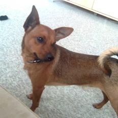 Blanding af racer Marni