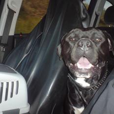 Blanding af racer Falko