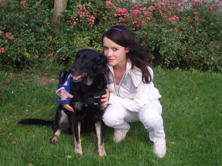 Blanding af racer Bella  billede 12