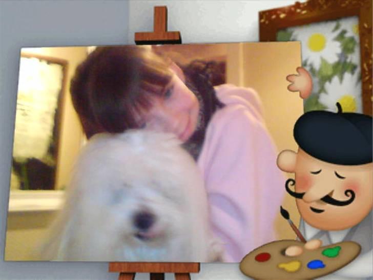 Coton de tulear Oscar<3 billede 11