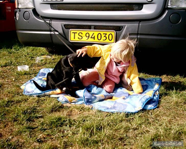 Blanding af racer Zisca - Camilla og Zisca hygger foran fars lastbil. billede 12