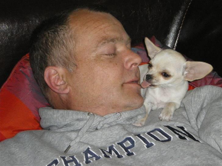 Chihuahua Mille  - Mig og min bedstefar (: Mys Mys billede 7