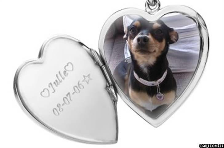 Blanding af racer Julle billede 14