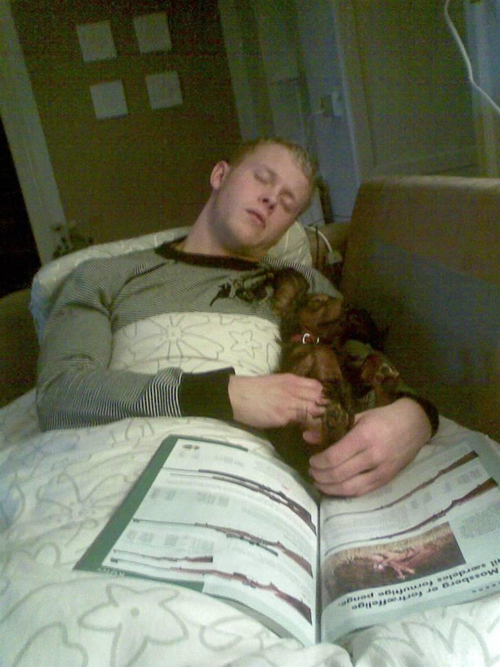 Miniature gravhund Mollie - far og molly får sig en lille lur arm i arm billede 15