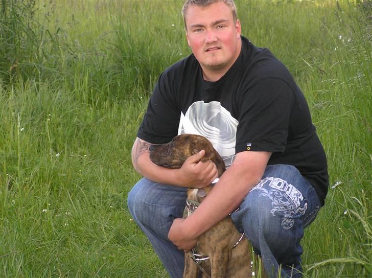 Blanding af racer Tino billede 10