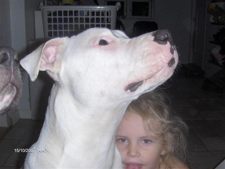 Blanding af racer Emma - Er jeg ikke sød når jeg sover moar <3 billede 1