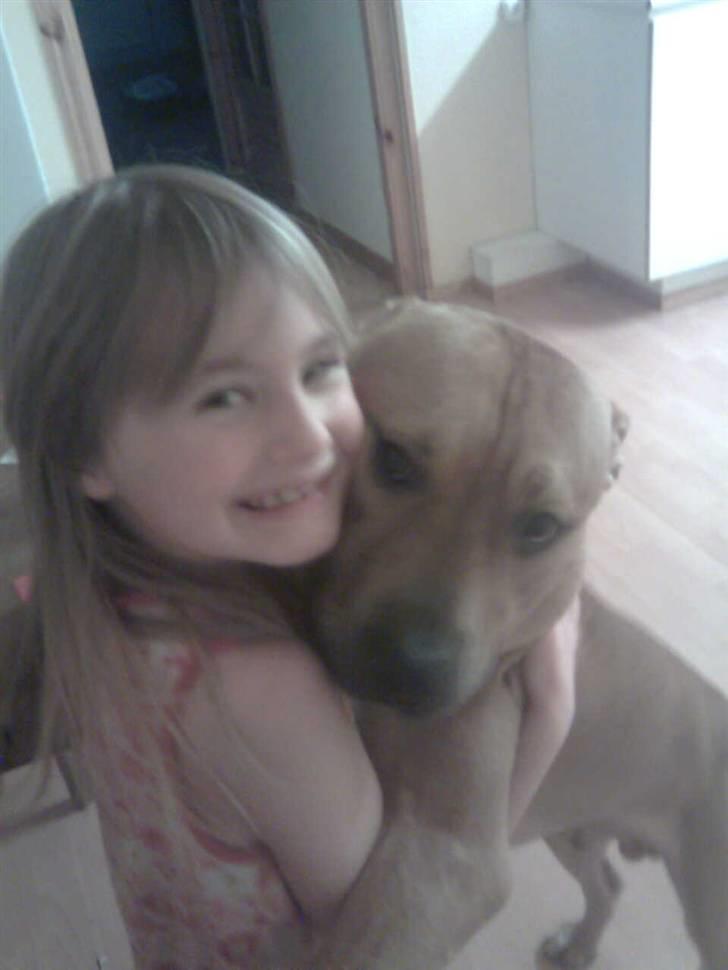 Amerikansk staffordshire terrier Nelli - Min far og en af mine dejlige ejer!! billede 10