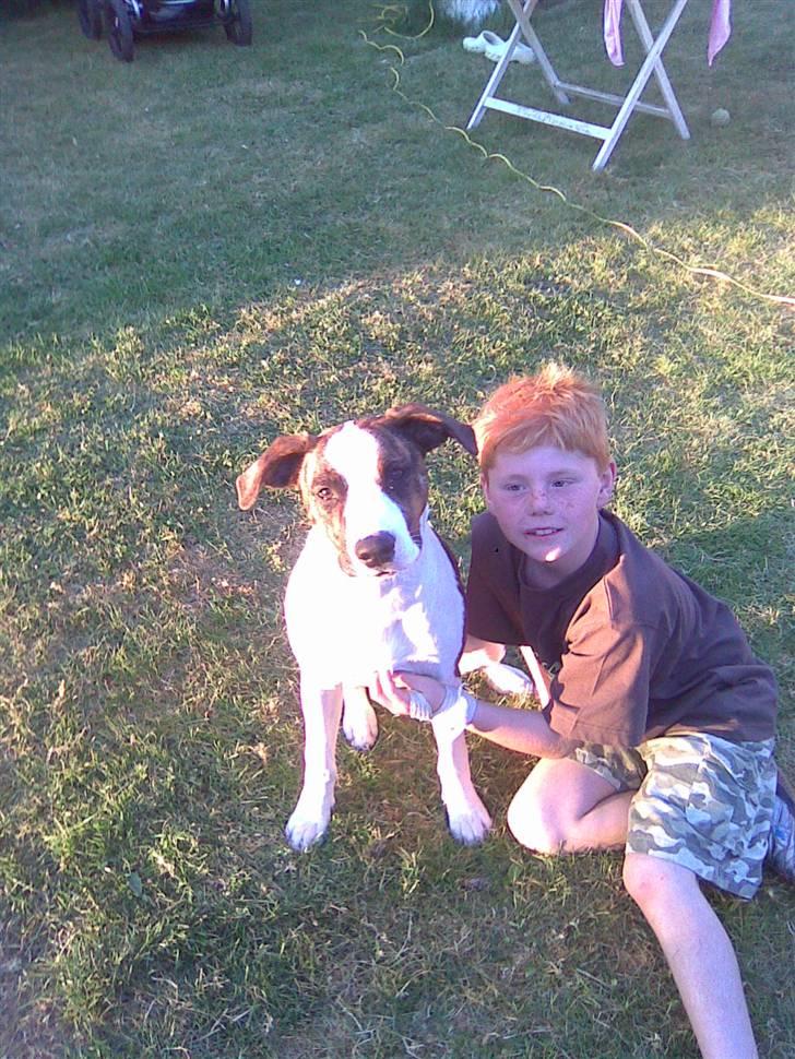 Blanding af racer Miami - Min bror og Miami, til sommerfest :) billede 8