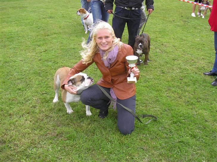 Olde english bulldogge Jolie - Mon jeg kan bruge den til at spise af?? :p billede 4