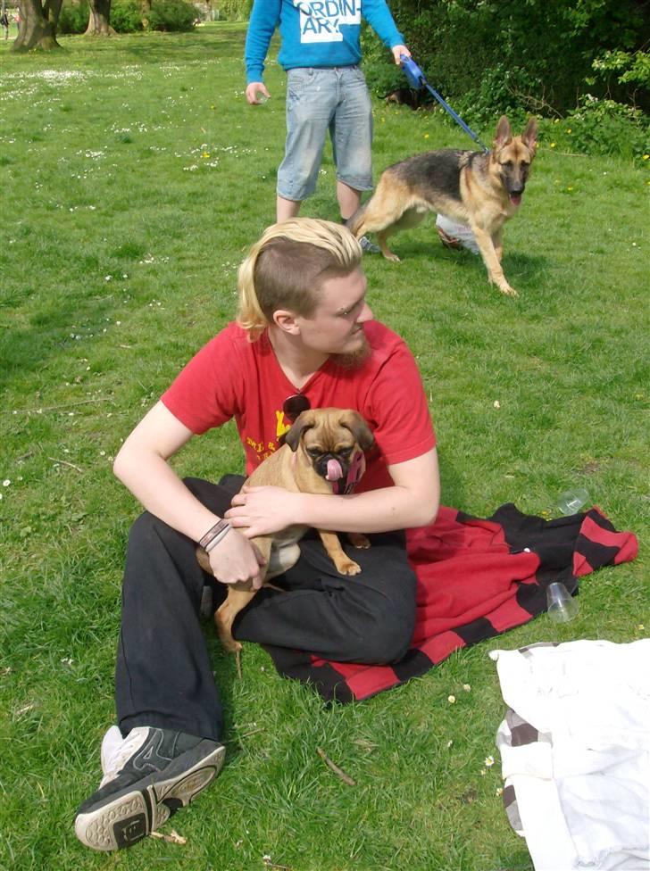 Blanding af racer Fie - Mmm.. Sommervejr i parken sammen med far billede 18