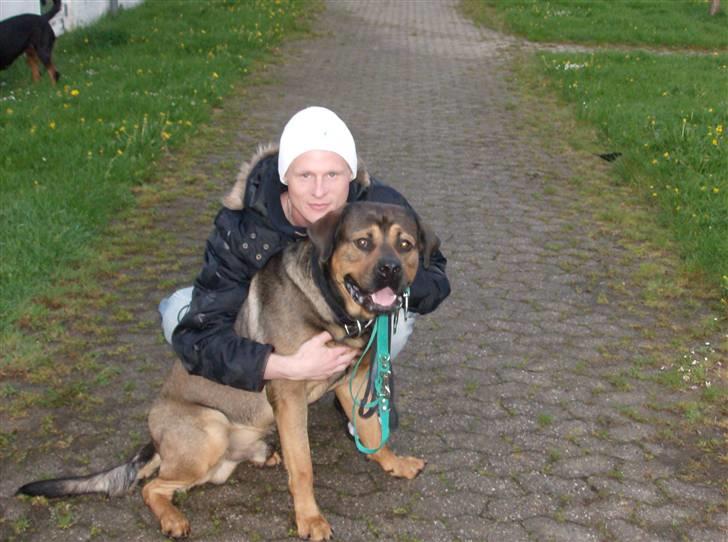 Blanding af racer spike - min dejlige far lad mig putte helt ind billede 12