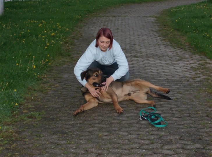 Blanding af racer spike - mums hvis jeg ligger helt stille fortsætter hun nok billede 13